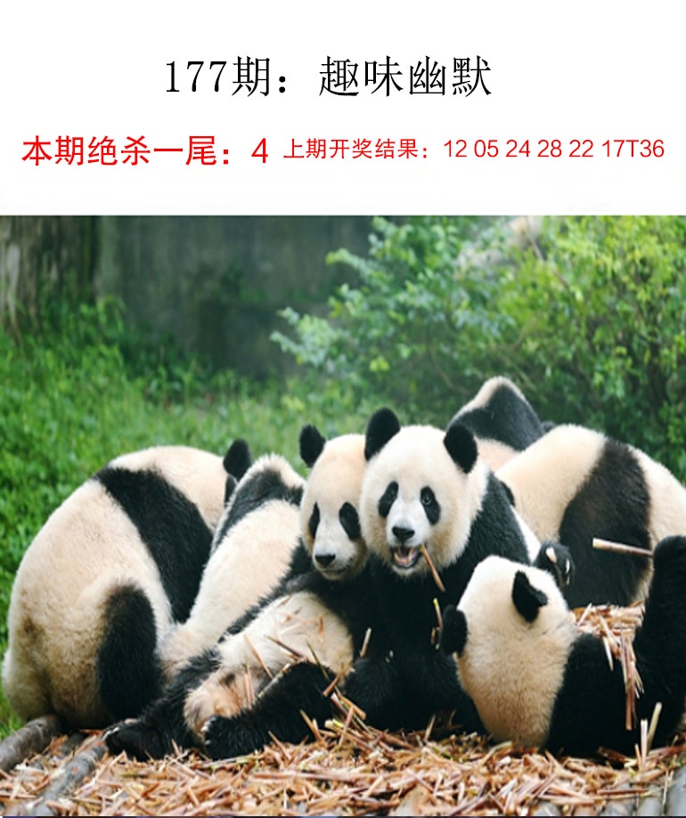 澳门大富翁