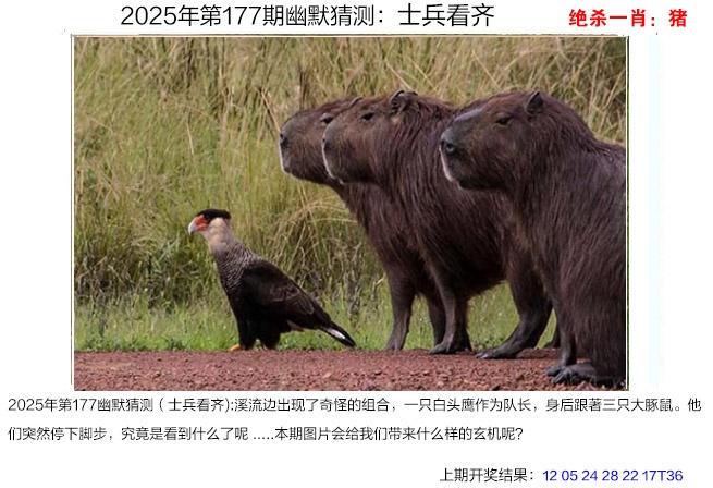 澳门大富翁