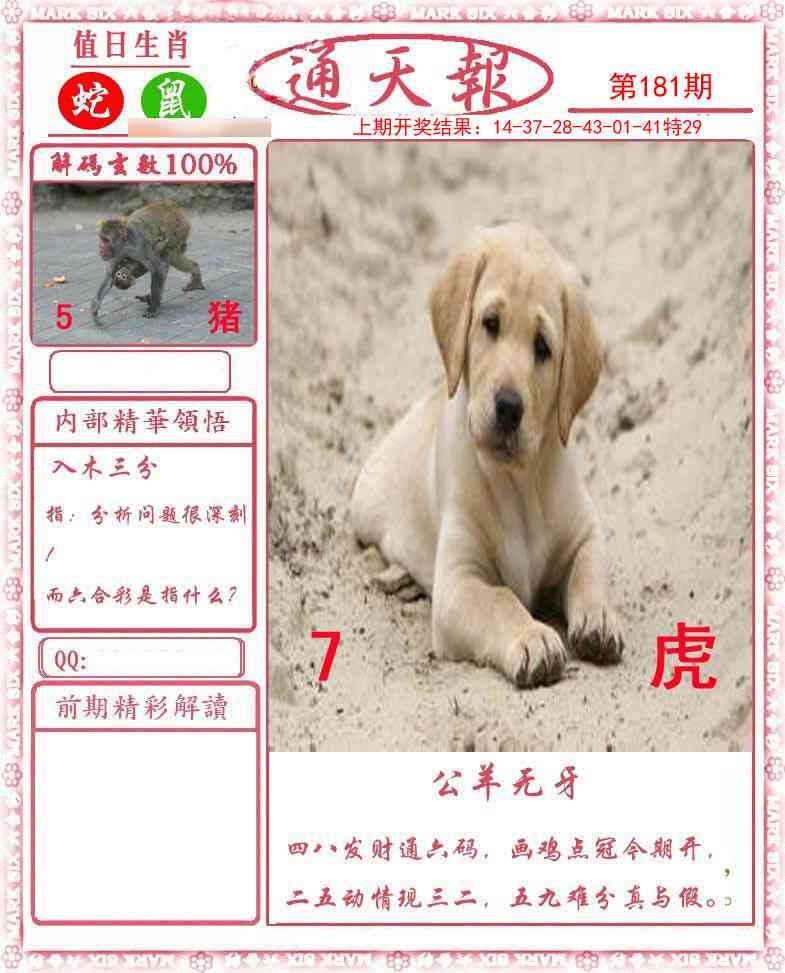 【澳门横财富】