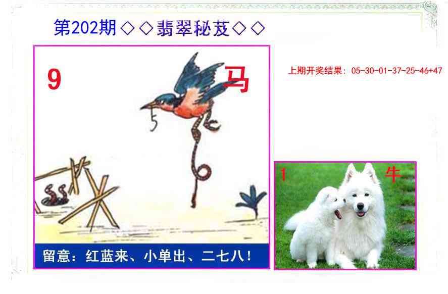 翡翠报