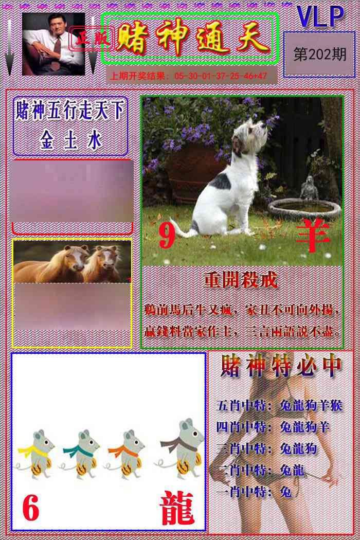赌神通天报