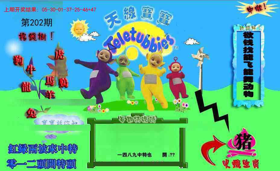 正版天线宝宝D