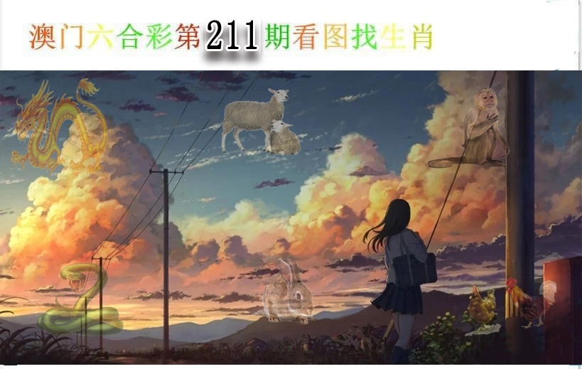 澳门天天好彩