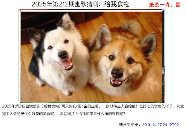 图片资料正在更新中……