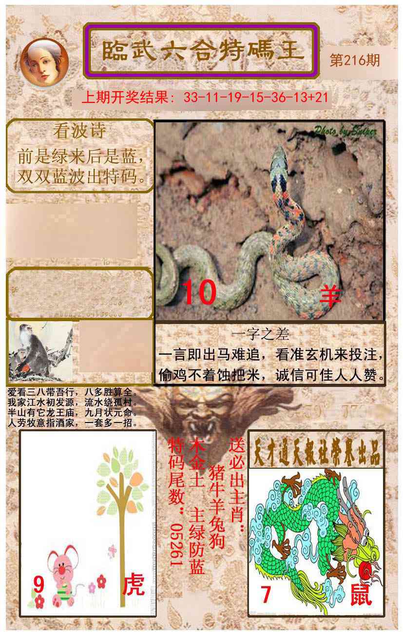 临武六合特码王