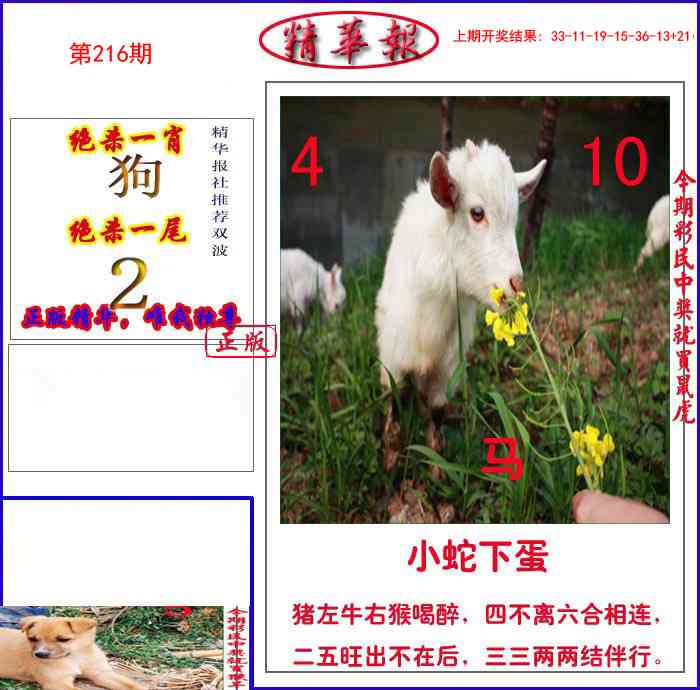 新精华报报