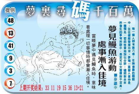 梦里寻码