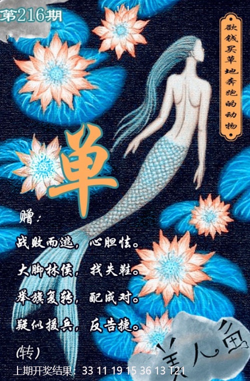 美人鱼单双中特图