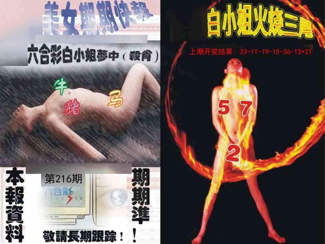 环球美女特码报