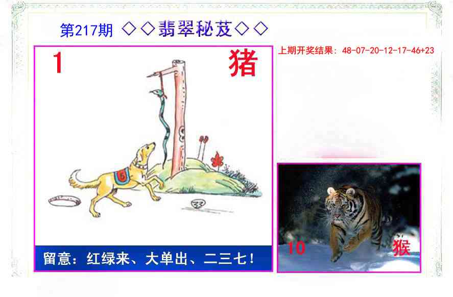 翡翠报