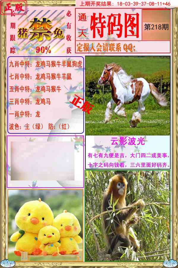 特码图
