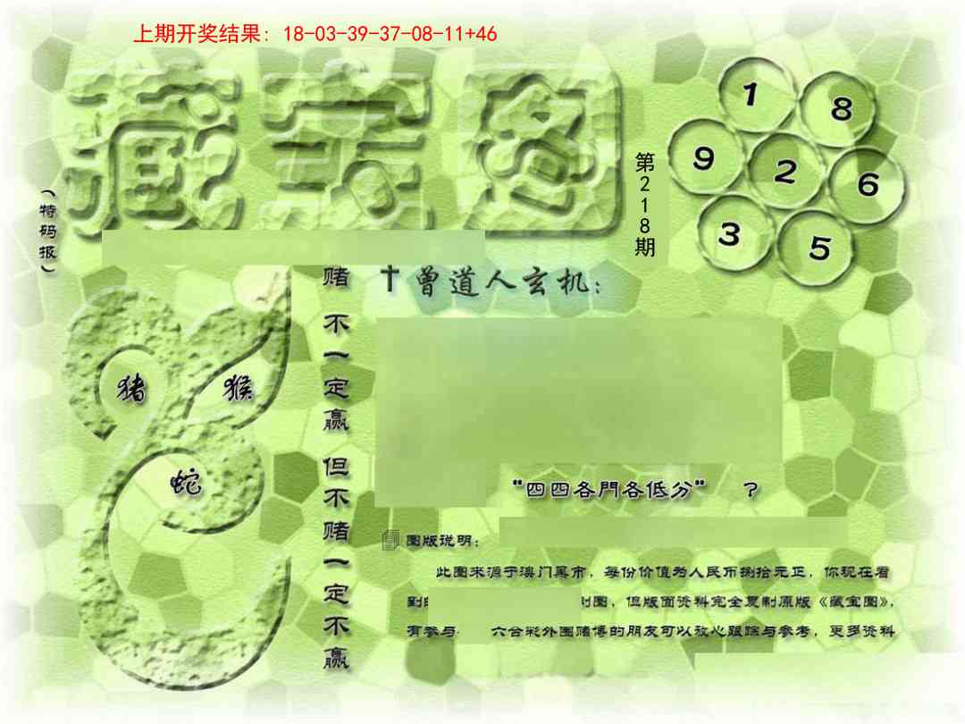 假新藏宝图