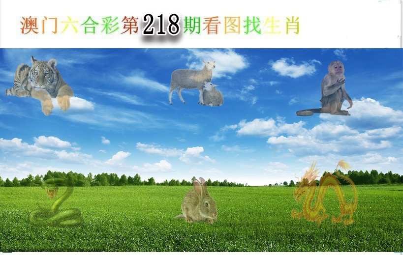 看图找生肖