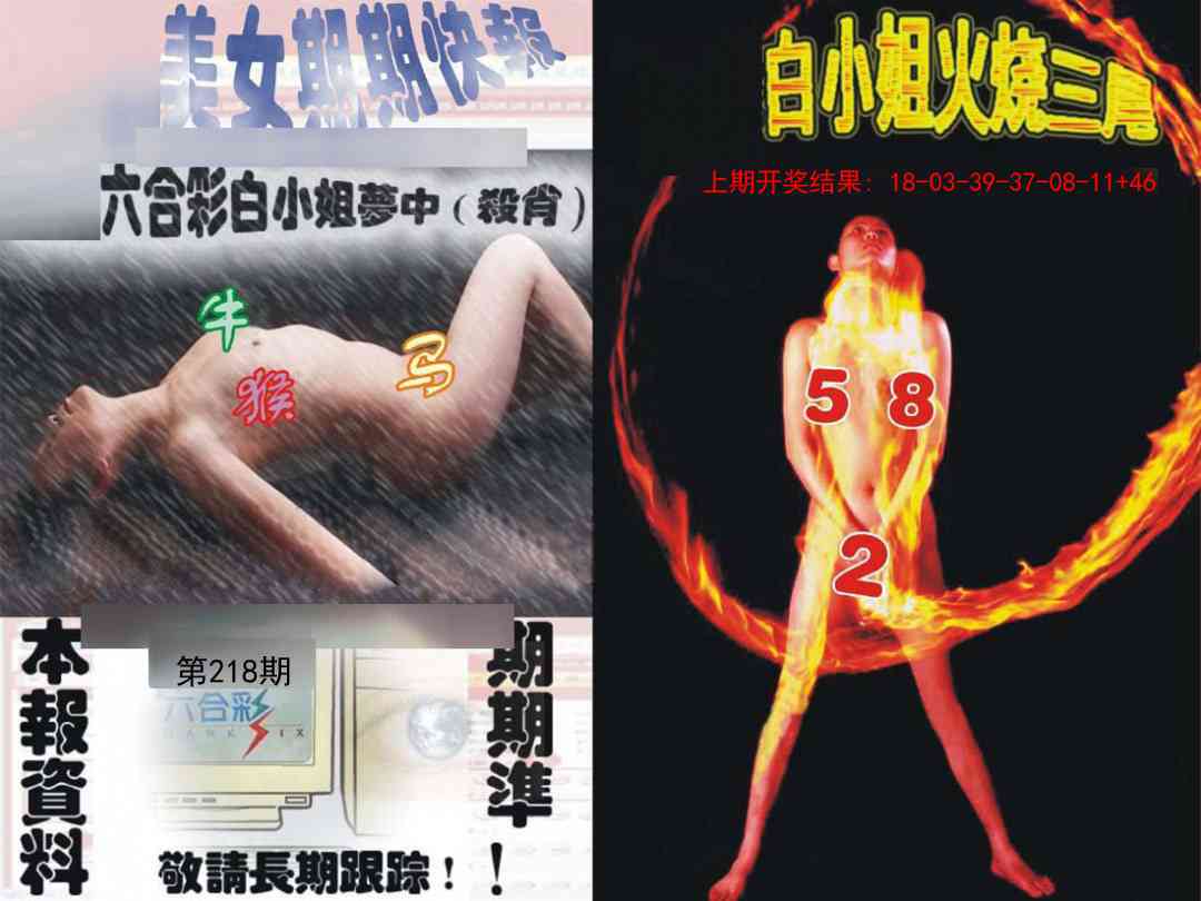 环球美女特码报