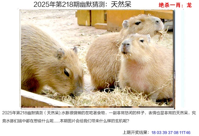 图片资料正在更新中……