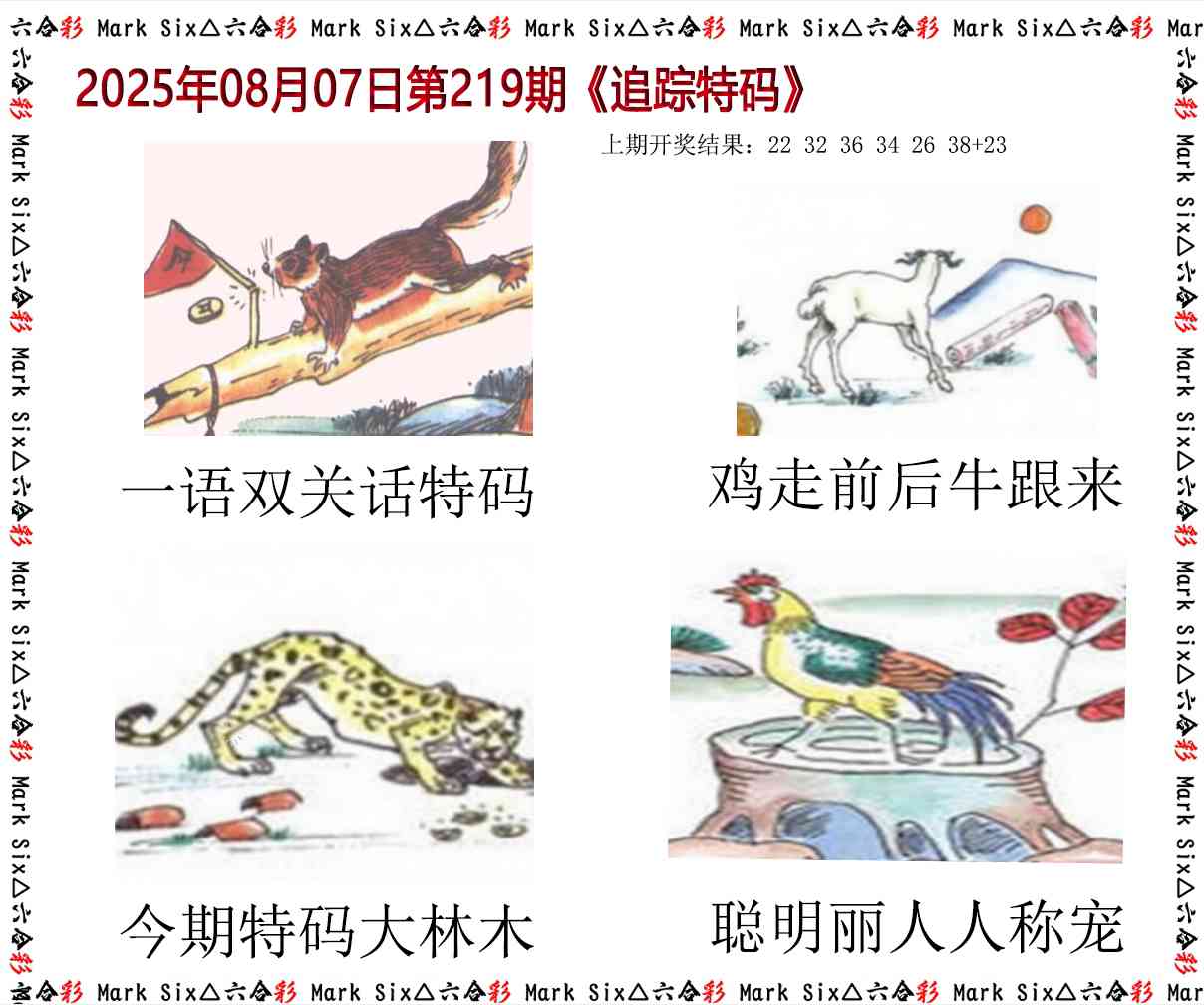 追踪特码
