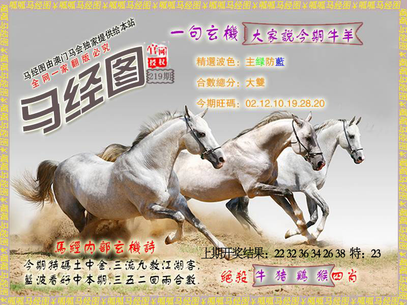 马经6