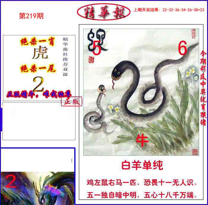 新精华报报