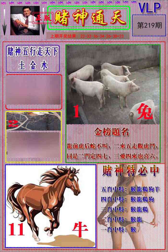 赌神通天报