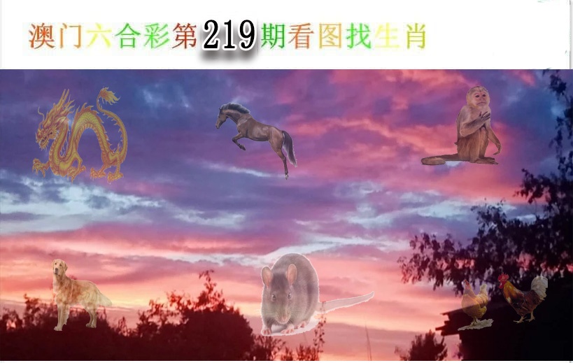 看图找生肖