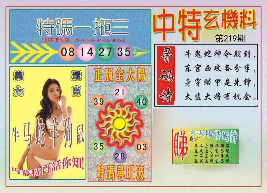 中特玄机料
