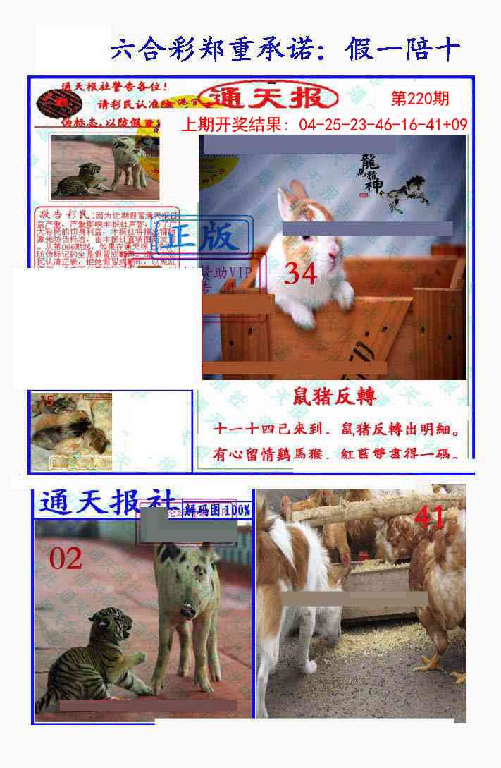 假一陪十通天报
