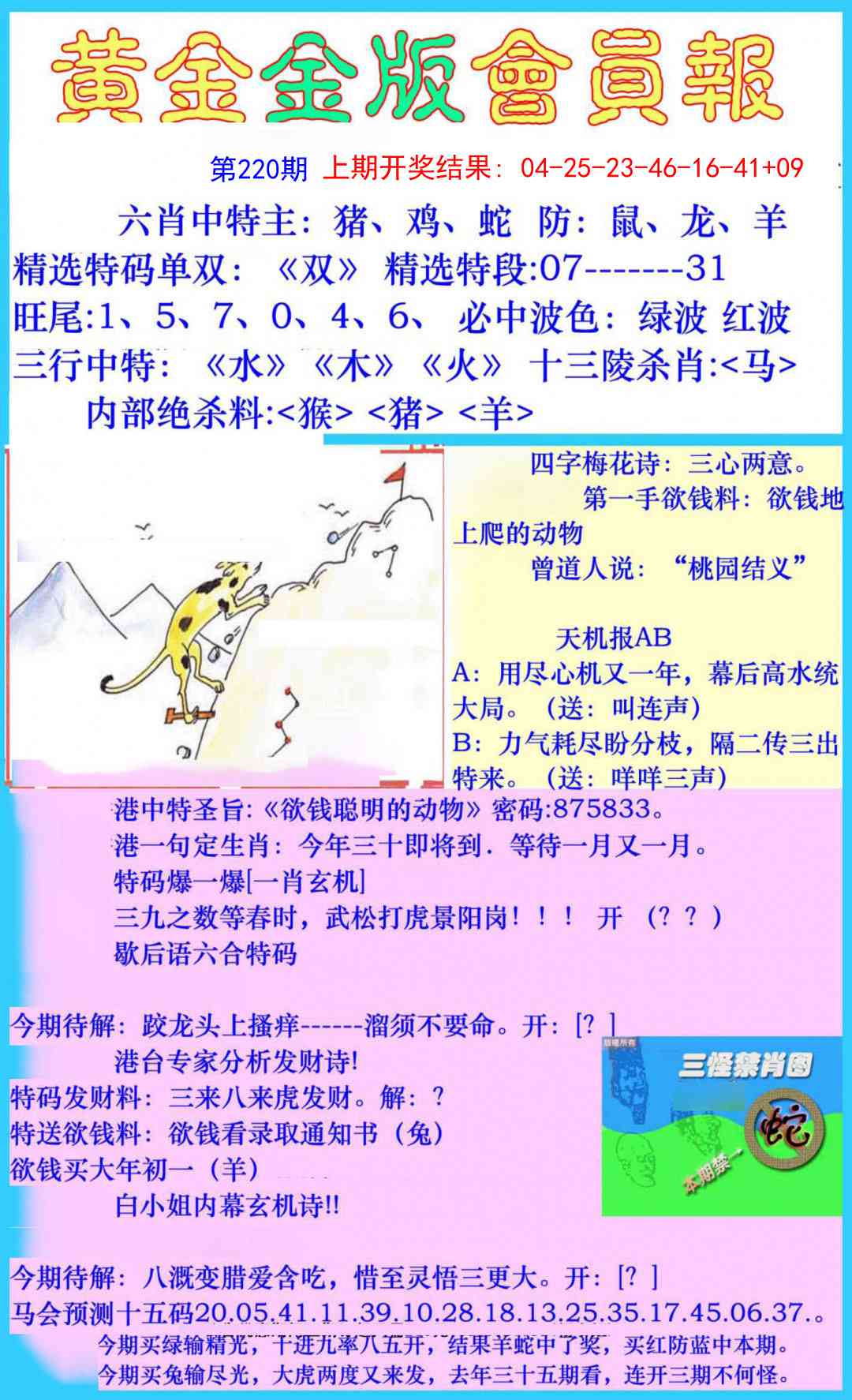 黄金金版会员报