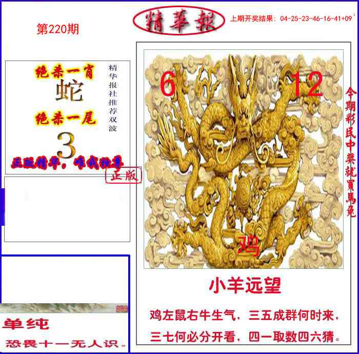 新精华报报