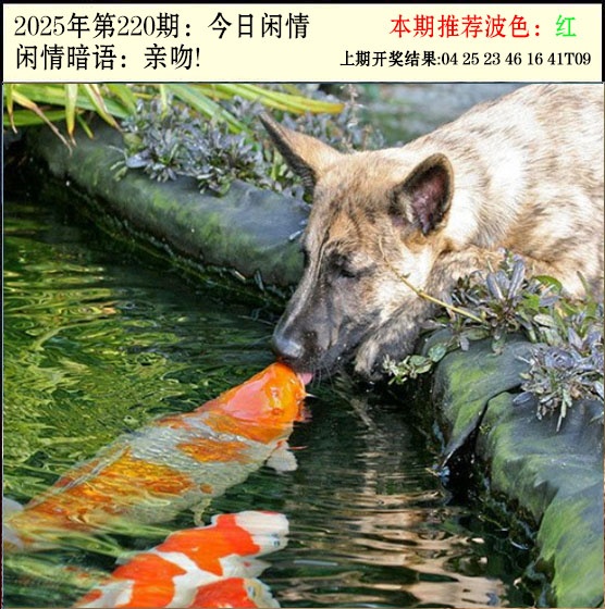 今日闲情2