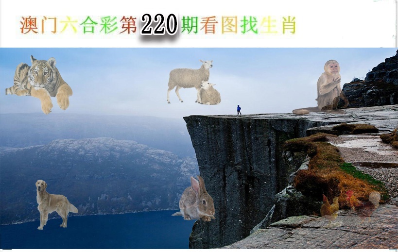 看图找生肖