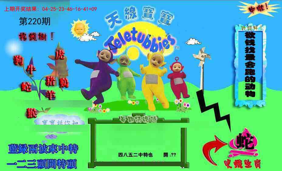 正版天线宝宝D
