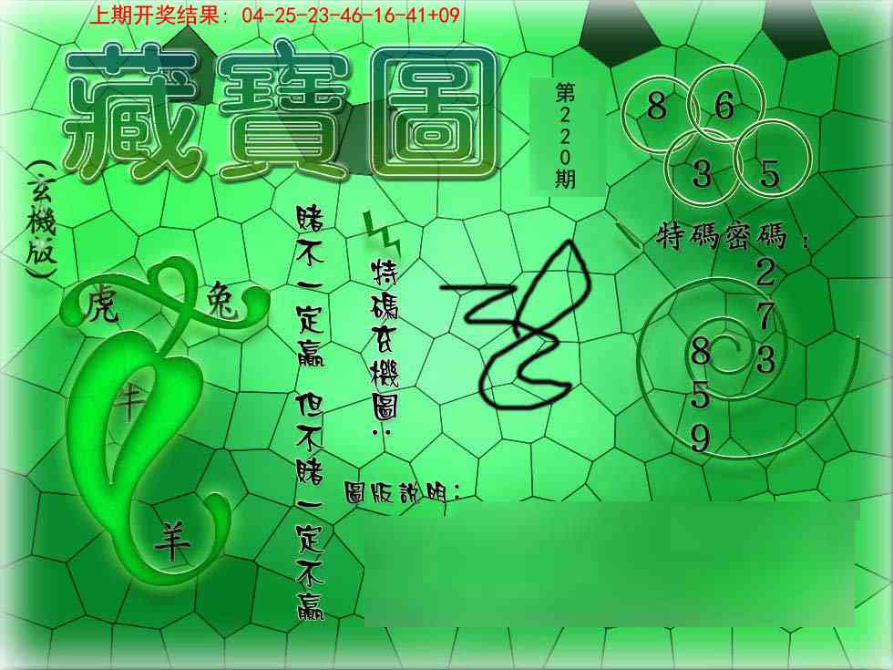 九龍玄机报
