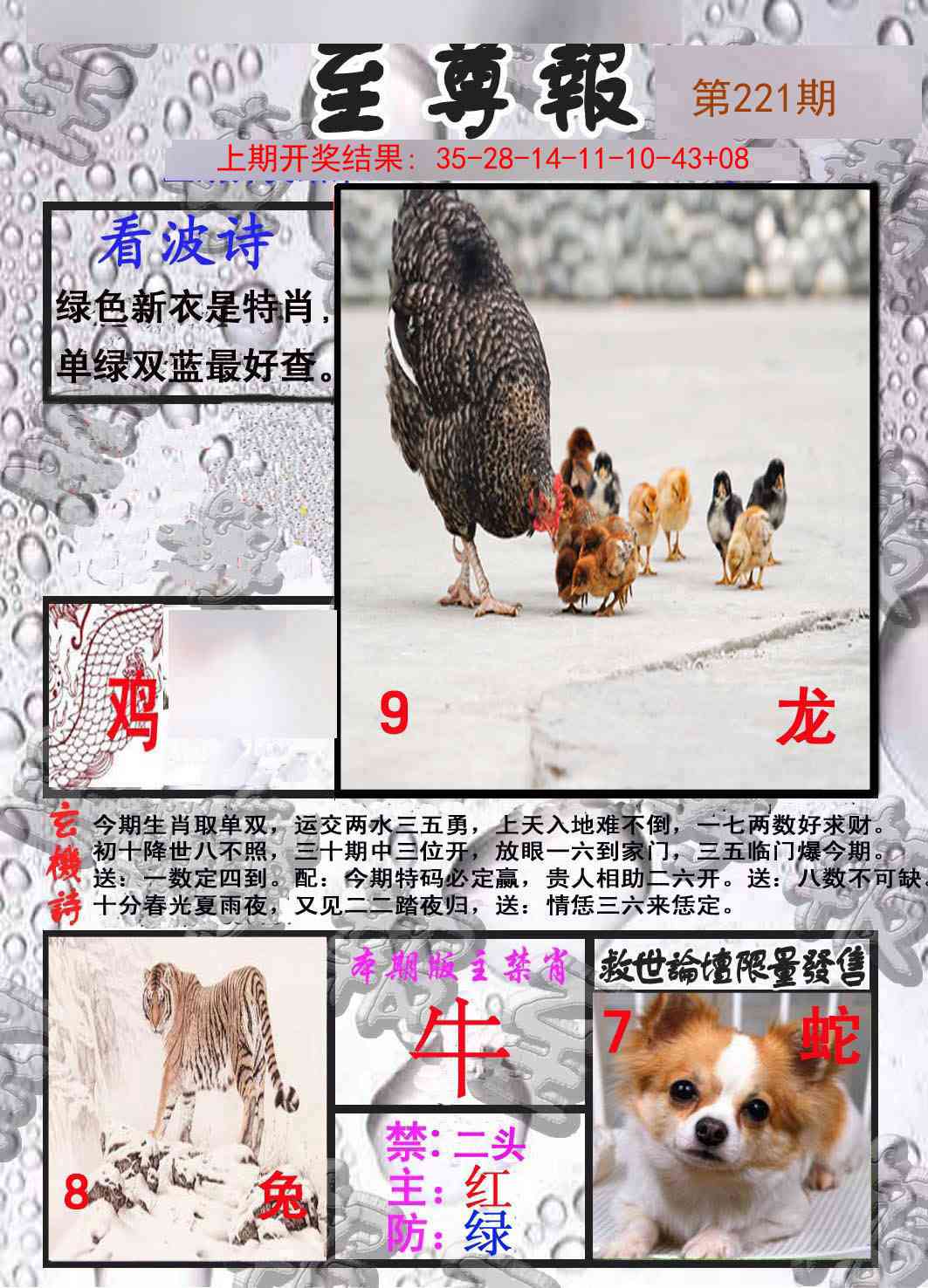 至尊报