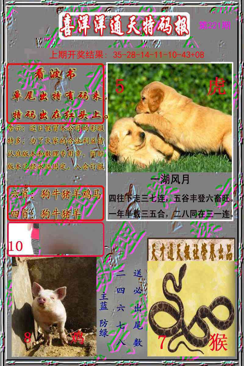 洋通报