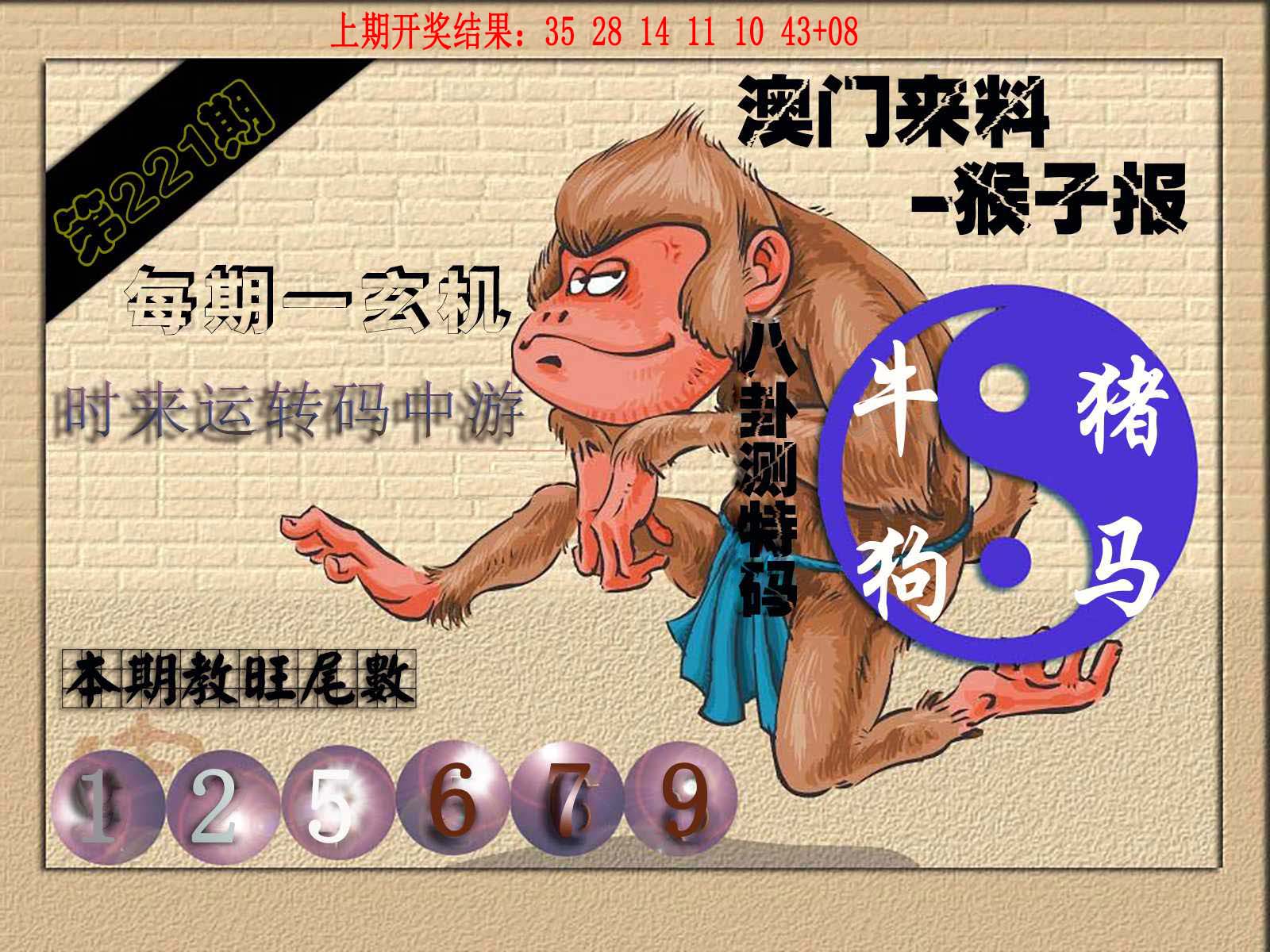 (来料)猴报