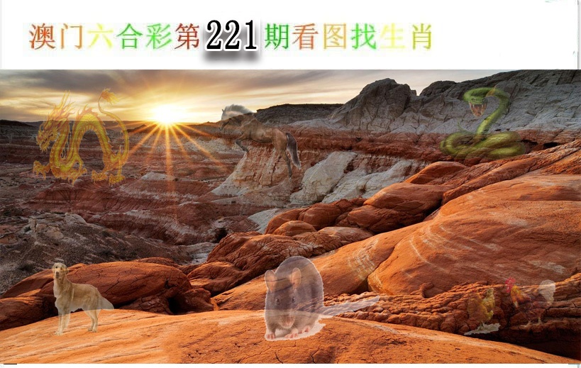 看图找生肖