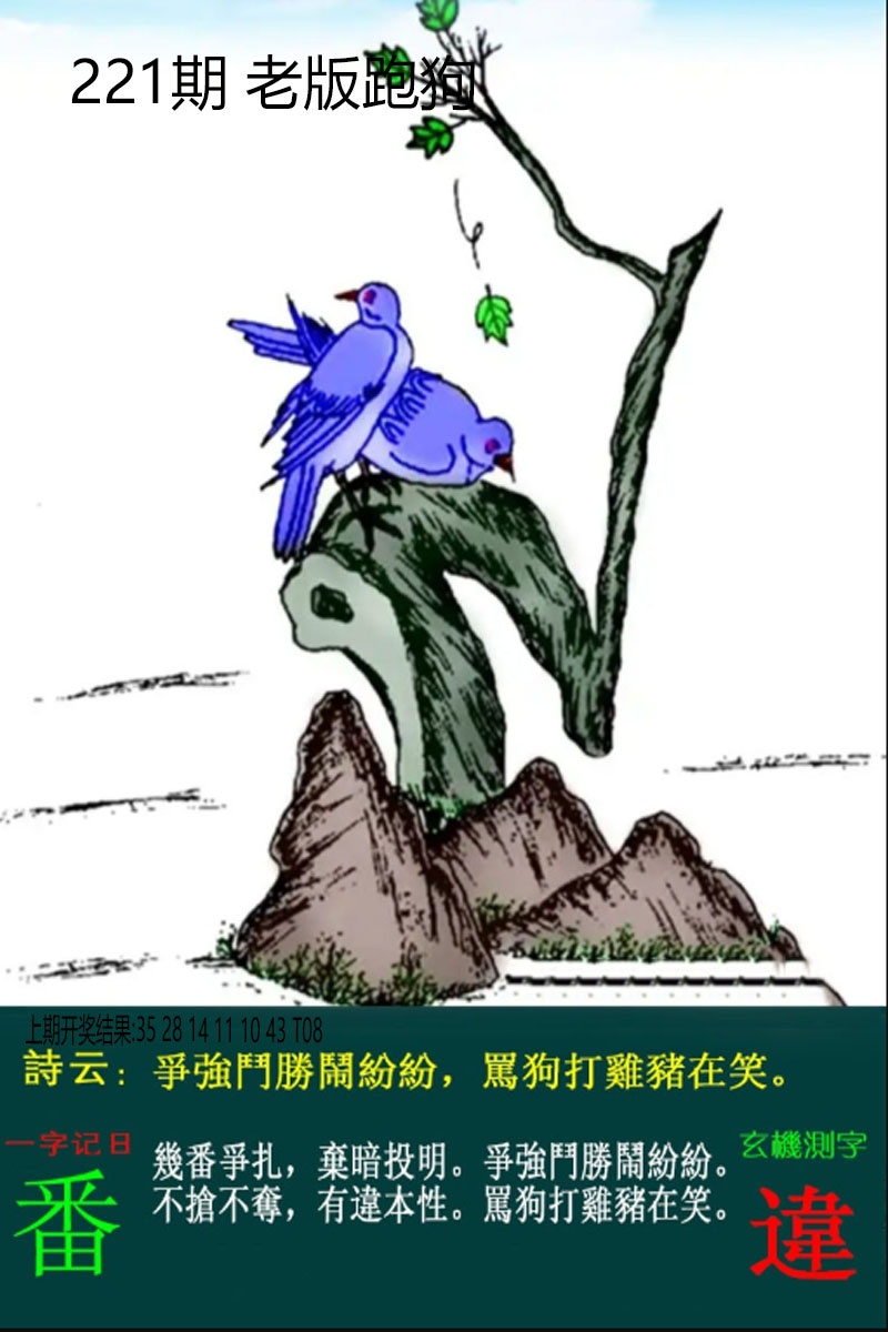 老板跑狗