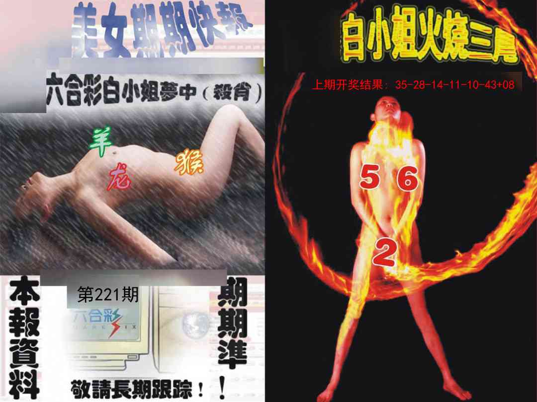 环球美女特码报
