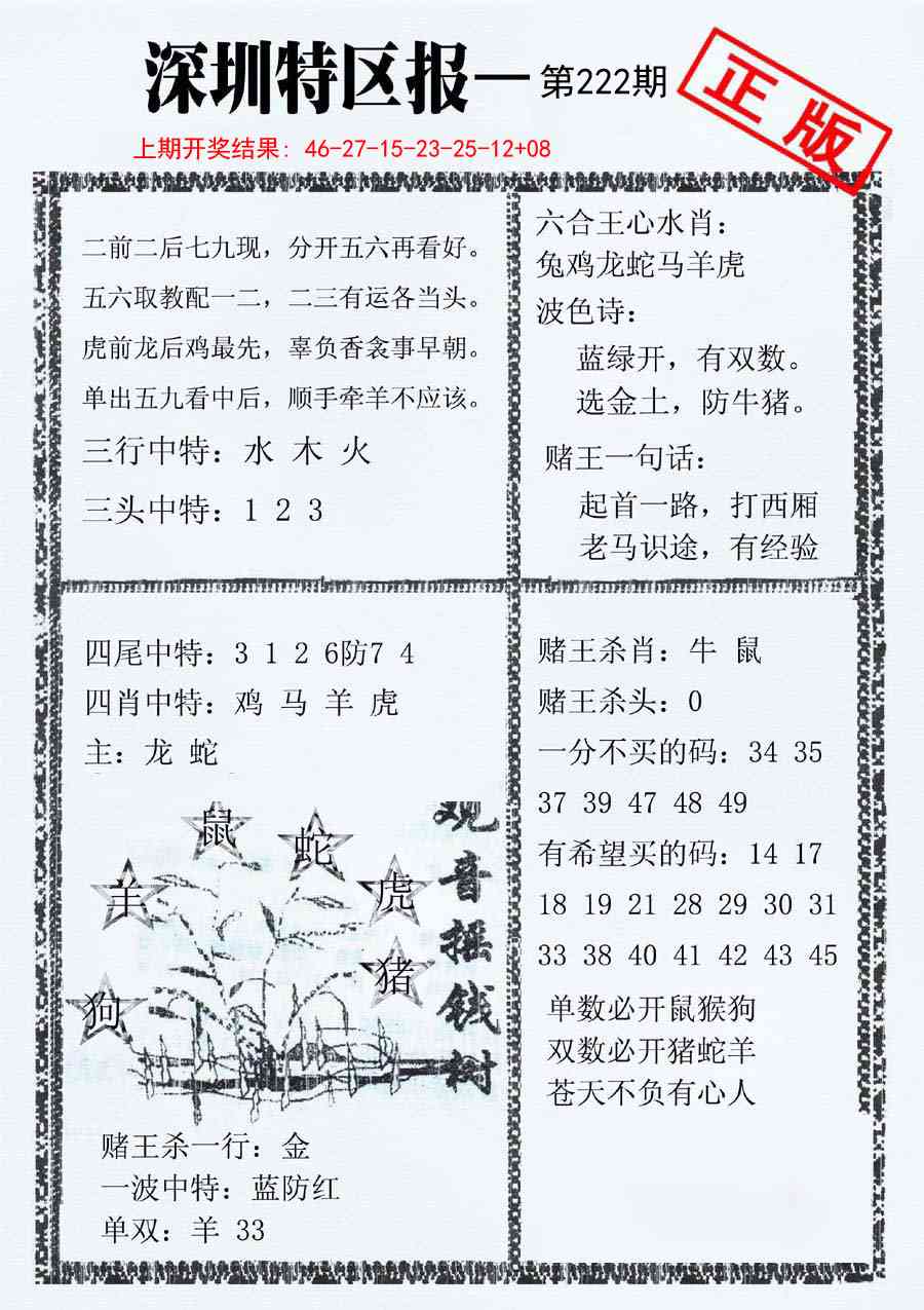 深圳特区报A