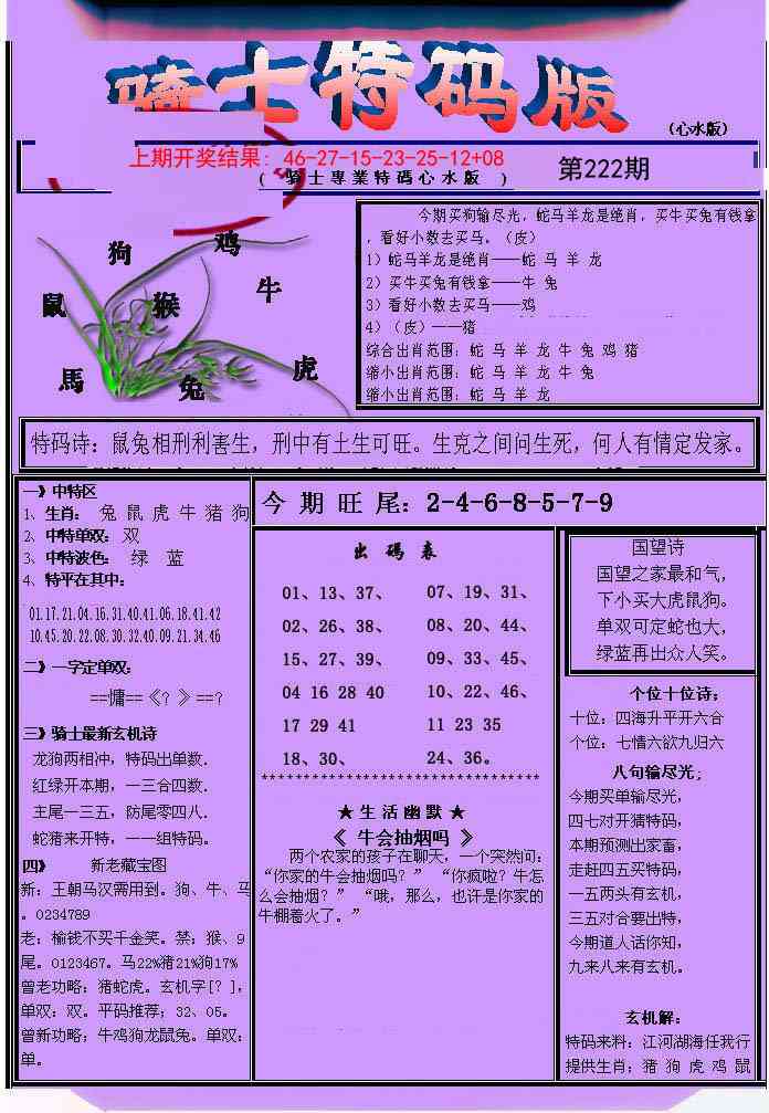 骑士特码版
