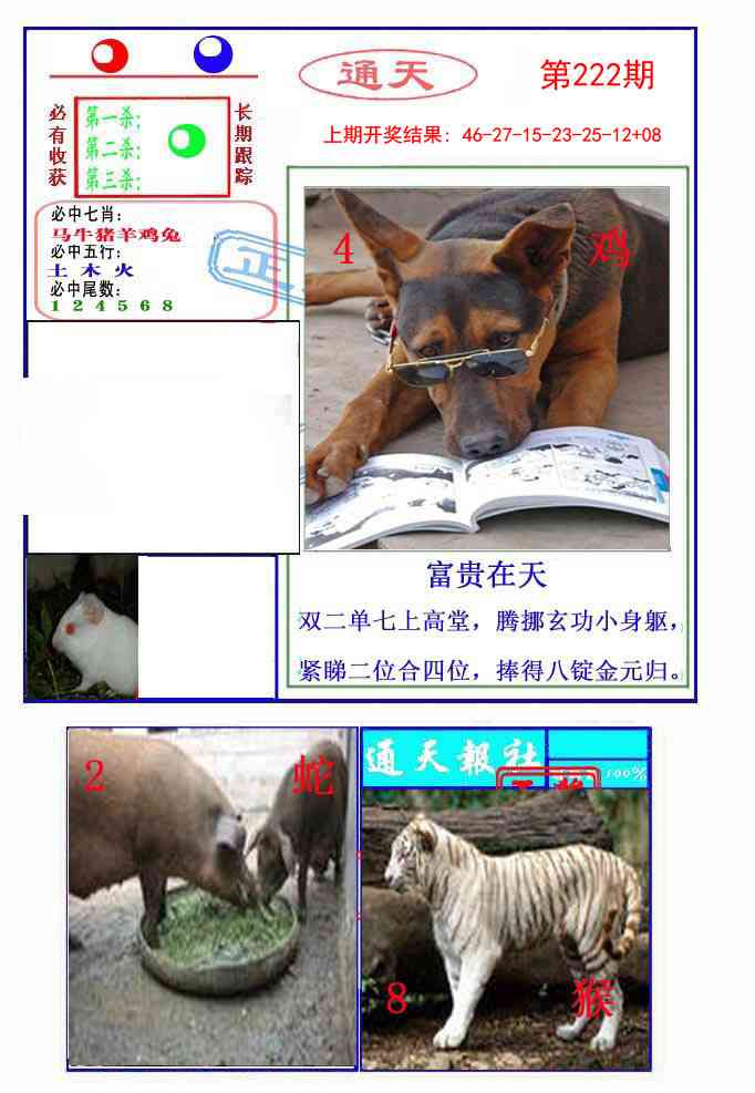 通天杀波图2
