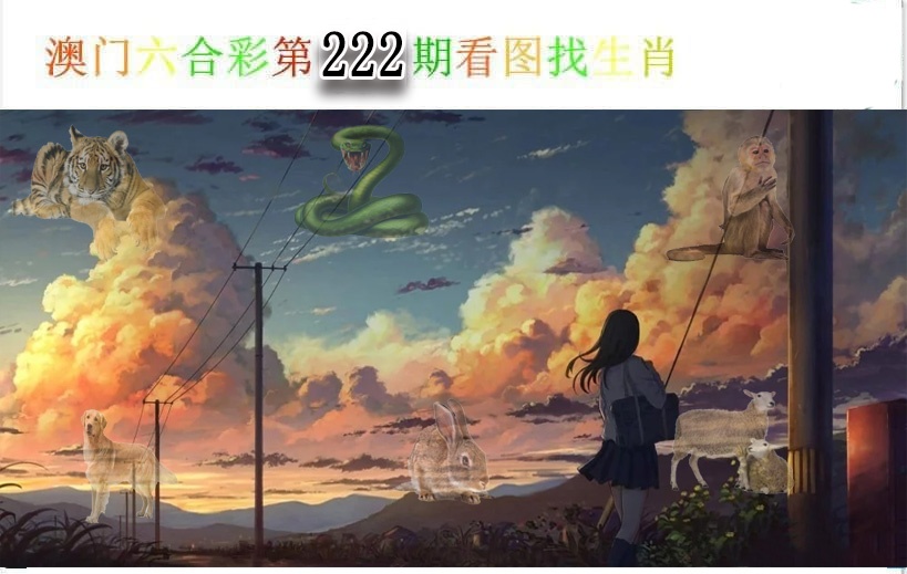 看图找生肖