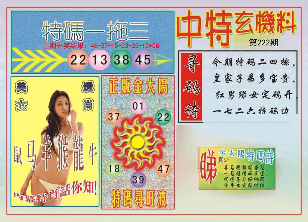 中特玄机料