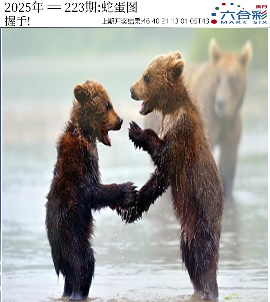 正版蛇蛋图