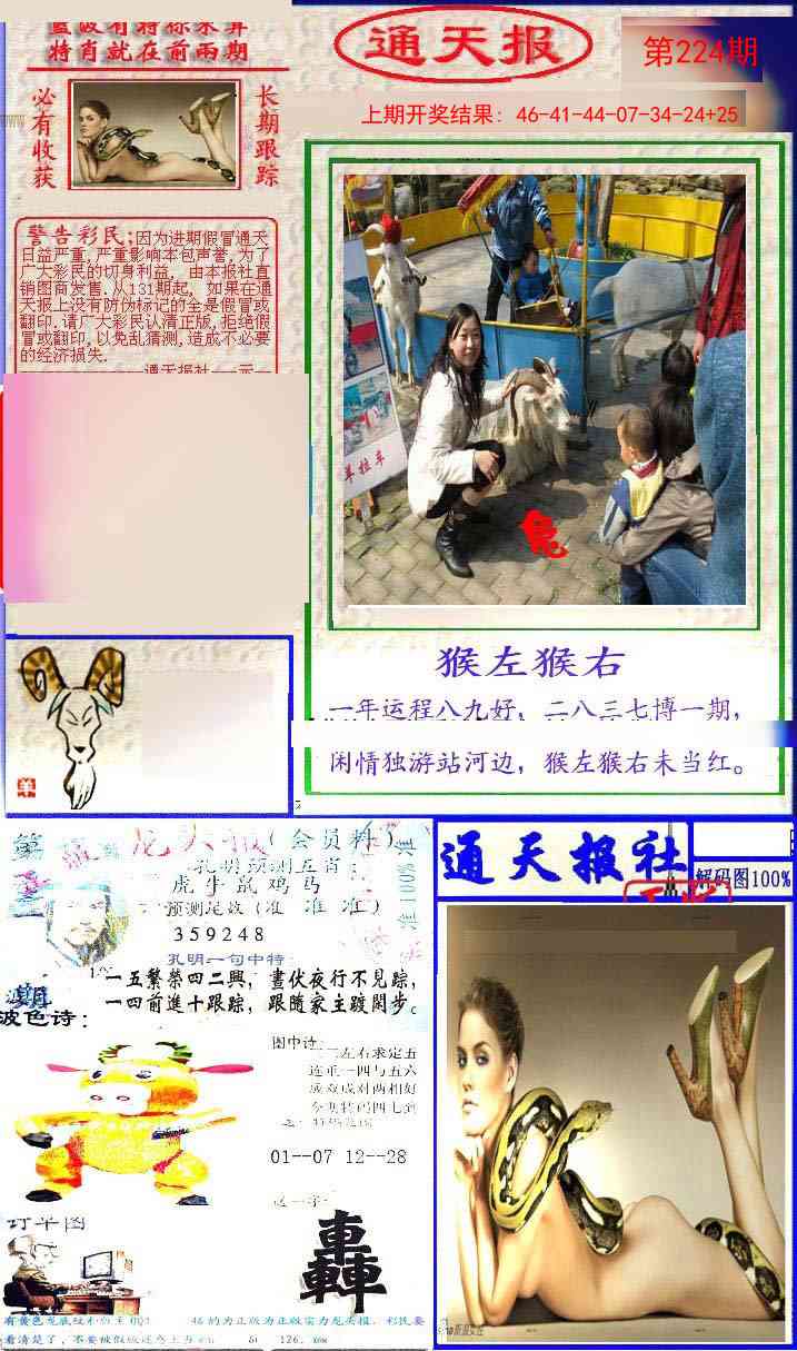 实力通天报