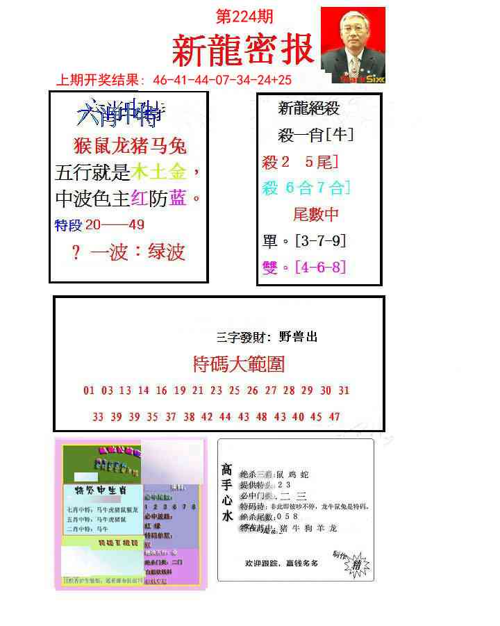 新龙密报