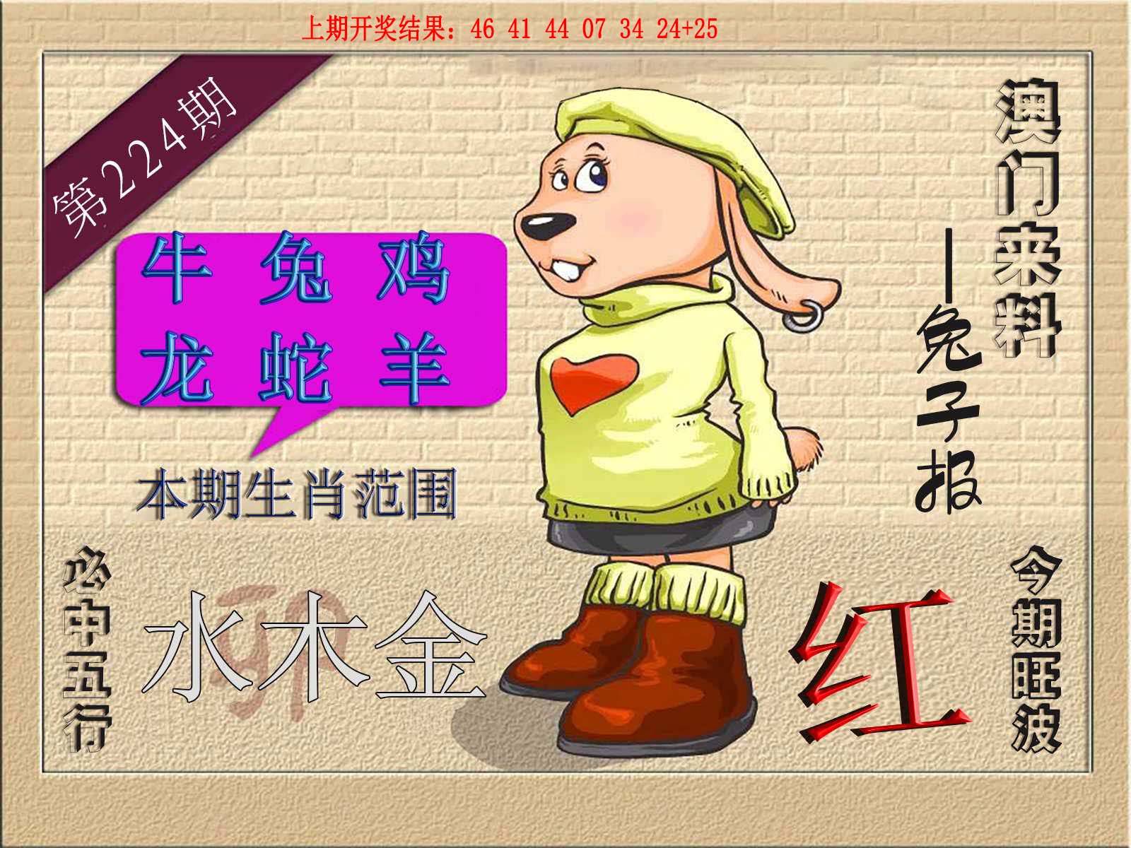(来料)兔报