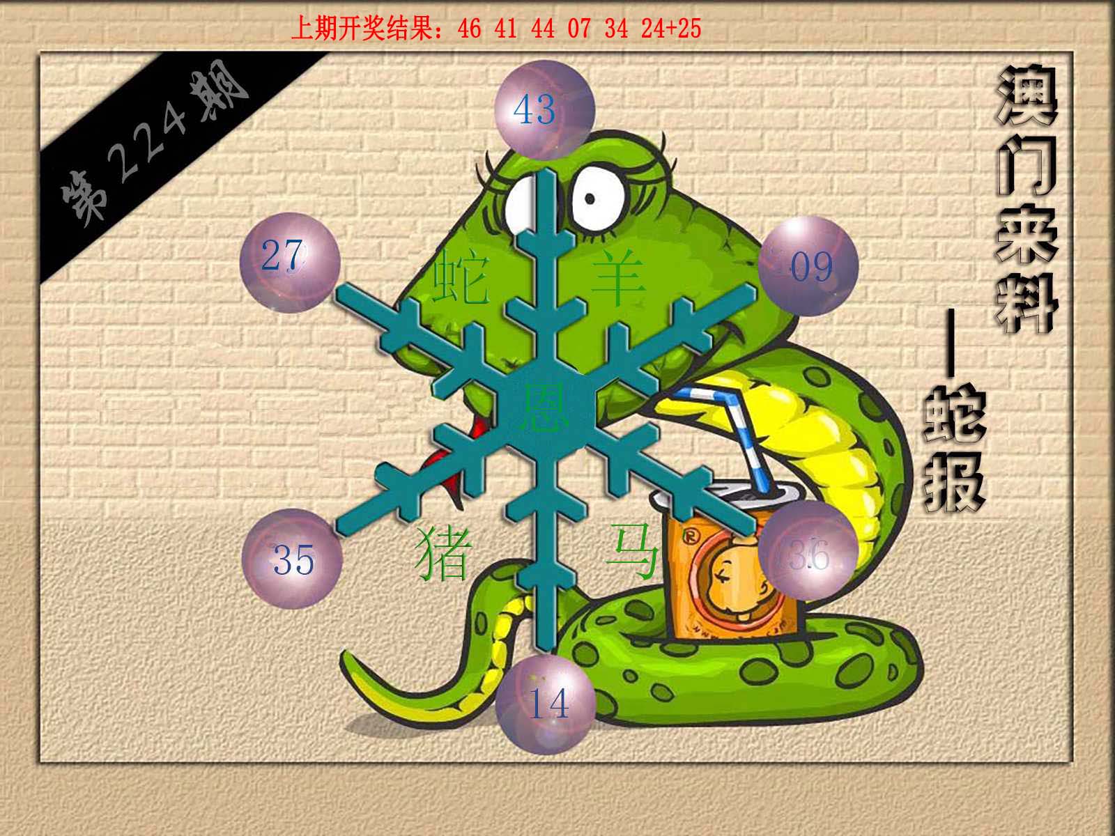 (来料)蛇报