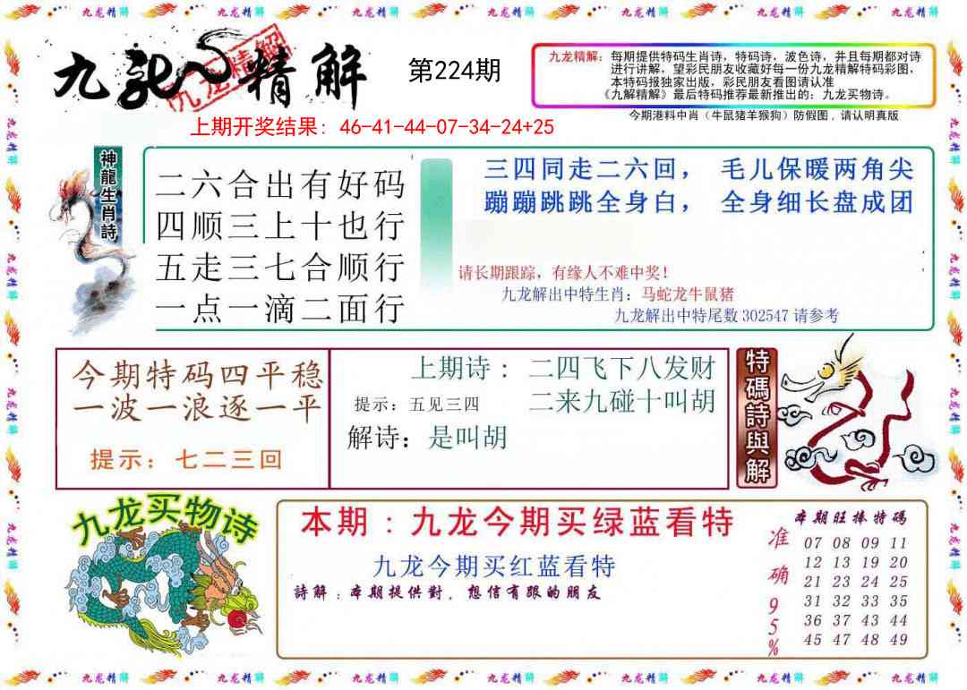 九龙精解