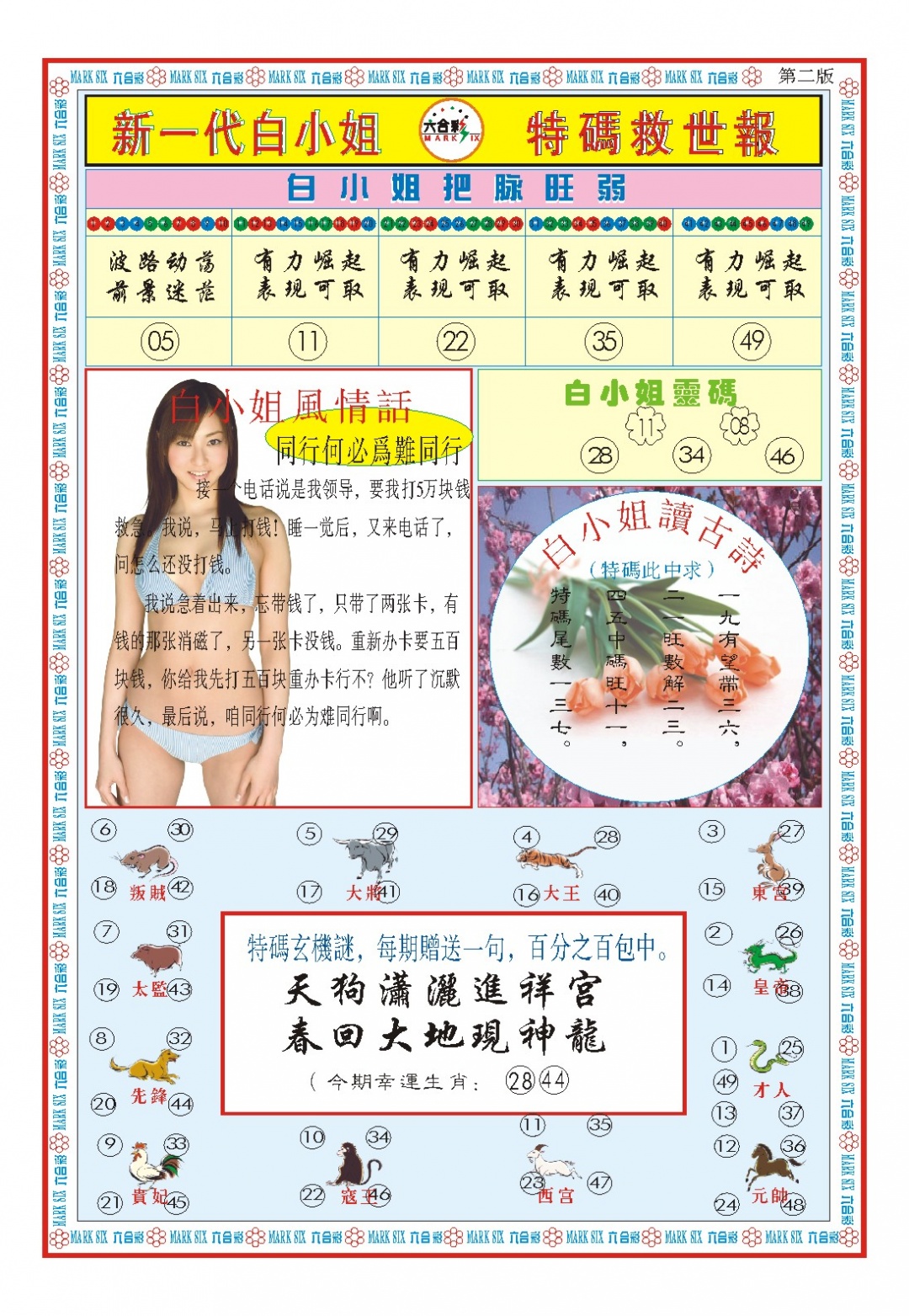 白小姐新一代B